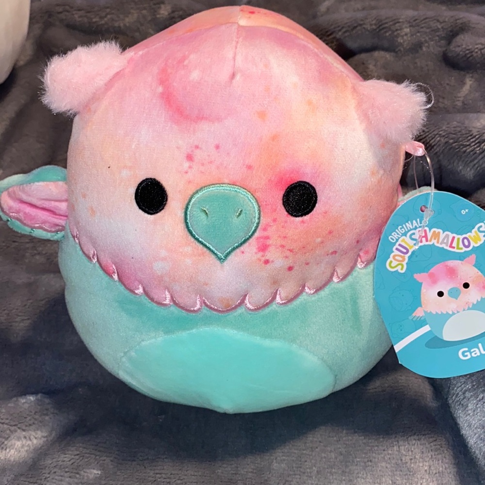 Gala (Griffin) 7 Inch Squishmallow. Kellytoy Squishmallows.